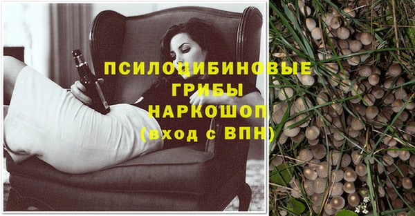прущий лед Алзамай