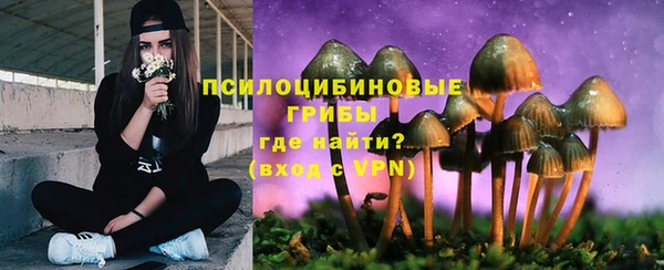 прущий лед Алзамай