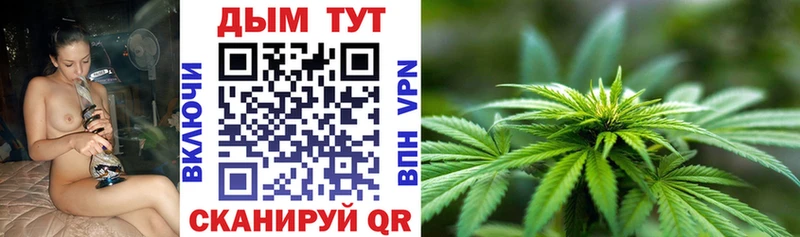 МАРИХУАНА сатива Волгоград